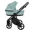 Коляска 2 в 1 Roan Esso Кожа Misti Mint/Grey/руч.Черный(2 места) (1) Коляска 2 в 1 Roan Esso Кожа Misti Mint/Grey/руч.Черный(2 места) — фото 1